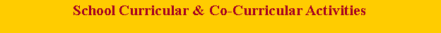 Text Box: School Curricular & Co-Curricular Activities 